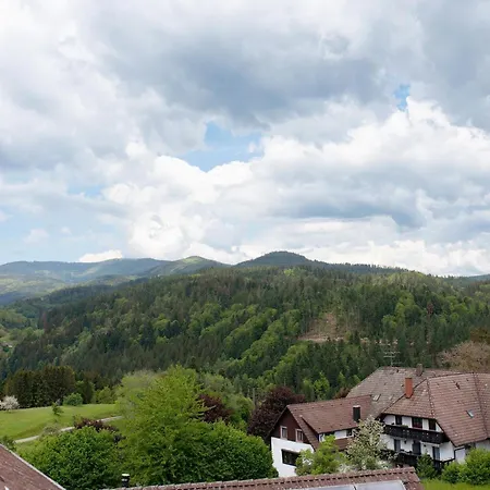In Near Nonnenmattweiher * Sallneck
